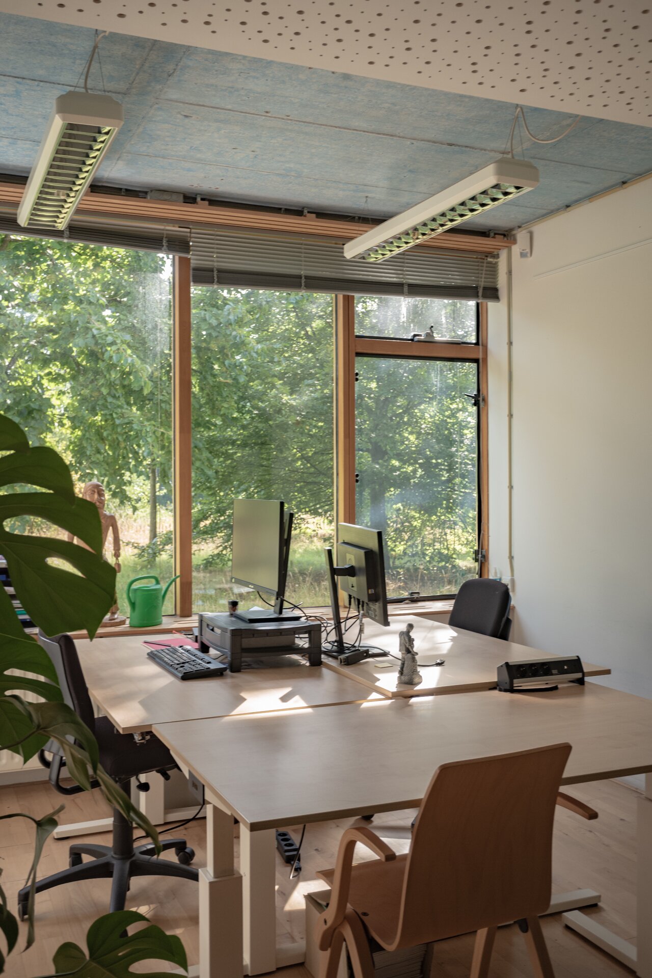Project by Behnisch Architekturbuero, IBN-Institute for Forestry and Nature Research. Office workspace with desks, computers, and chairs by large windows overlooking trees, with plants and overhead lights visible.
