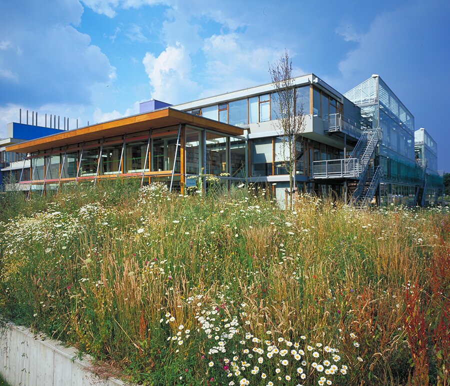 Project by Behnisch Architekturbuero, IBN-Institute for Forestry and Nature Research. Modern building with glass and wood facade beside a wildflower meadow, with exterior stairs and terraces under a partly cloudy sky.