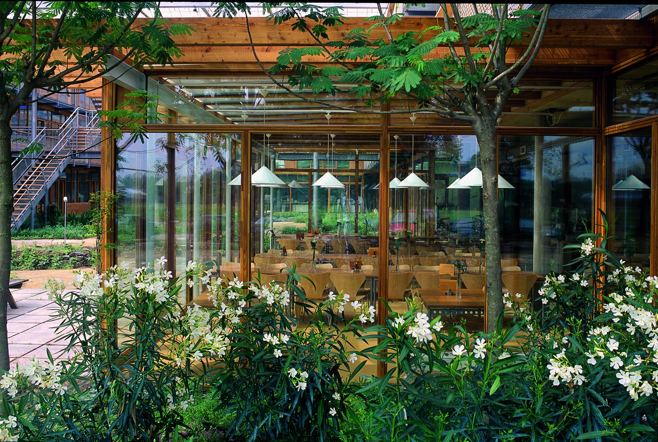 Project by Behnisch Architekturbuero, IBN-Institute for Forestry and Nature Research. Glass-walled dining space with wooden furniture, surrounded by trees and flowering plants, with an outdoor path and stairs nearby.