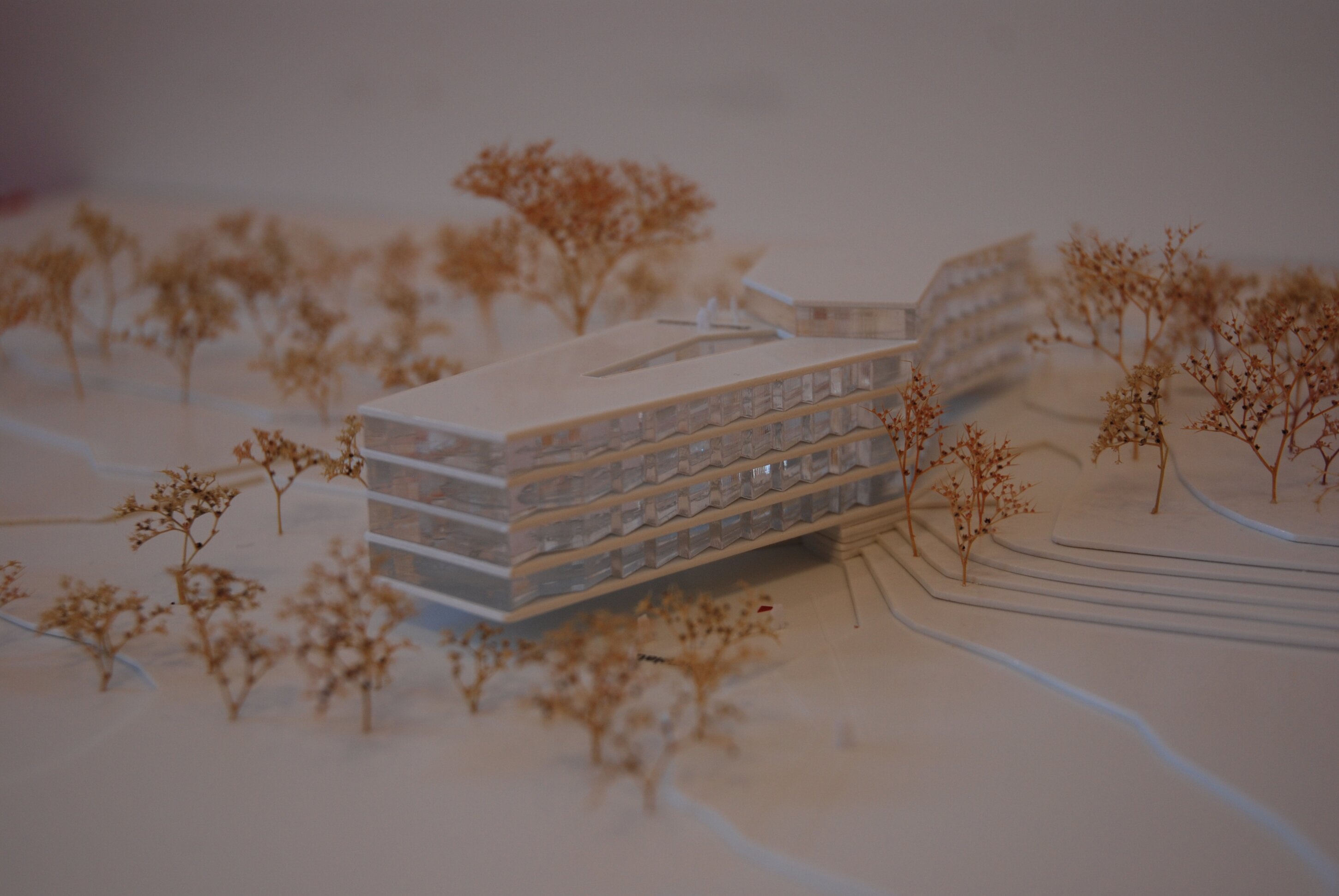 Project by Behnisch Architekturbuero, New Student Housing Complex, Nibelungenkaserne. Architectural model of the multi-story building with curved sections, surrounded by miniature trees on a white site layout.