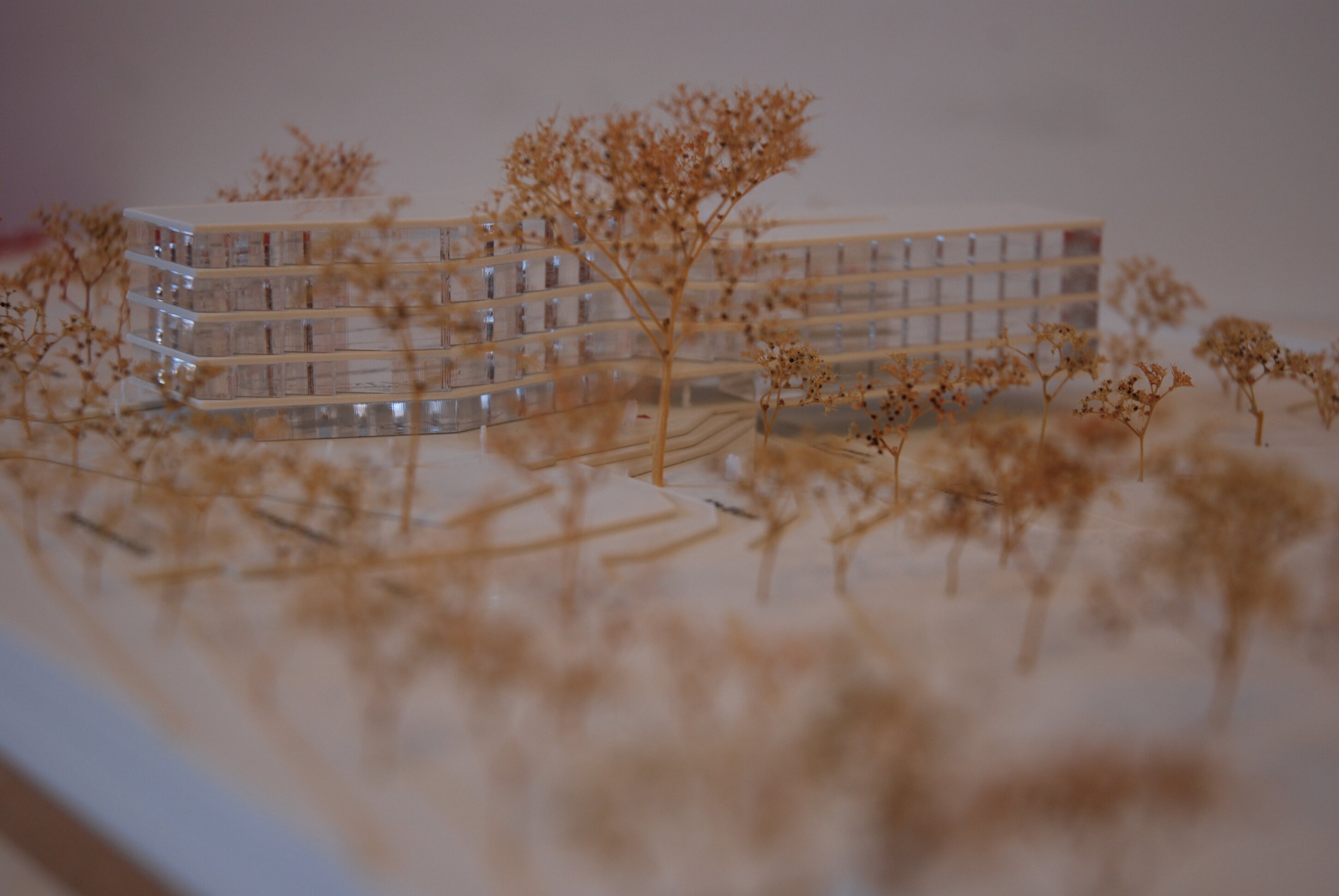 Project by Behnisch Architekturbuero, New Student Housing Complex, Nibelungenkaserne. Architectural model of the multi-story building with curved sections, surrounded by miniature trees on a white site layout.