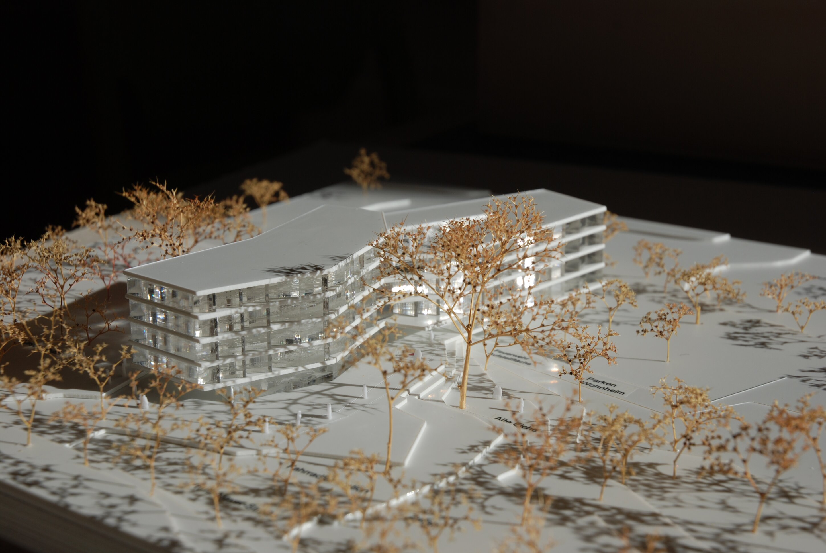 Project by Behnisch Architekturbuero, New Student Housing Complex, Nibelungenkaserne. Architectural model of the multi-story building with curved sections, surrounded by miniature trees on a white site layout.