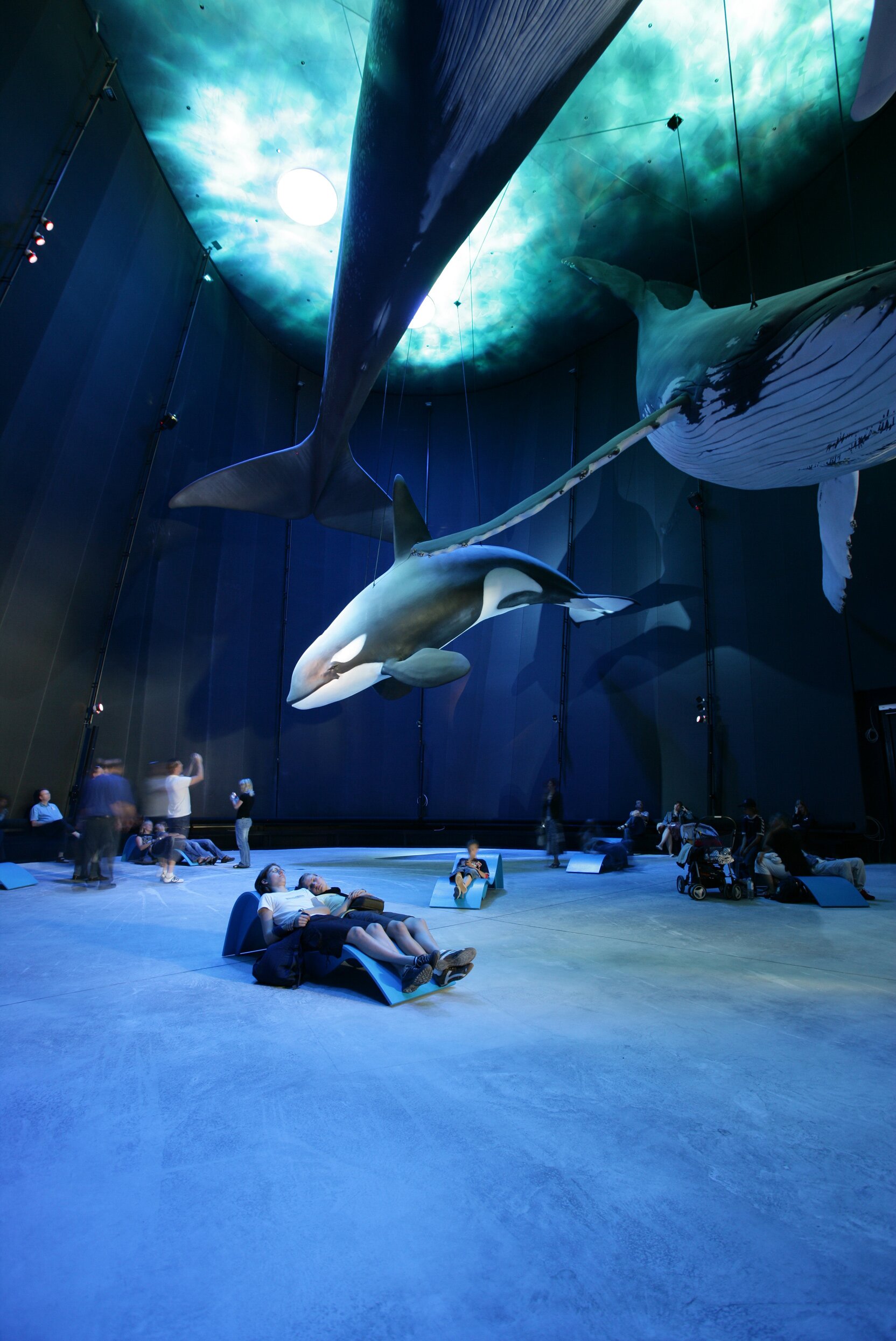 Project by Behnisch Architekturbuero, Ozeanum. A large hall with suspended models of whales and orcas. Visitors sit and walk beneath a blue-lit ceiling installation. Some lie on loungers and observe the animals from below.