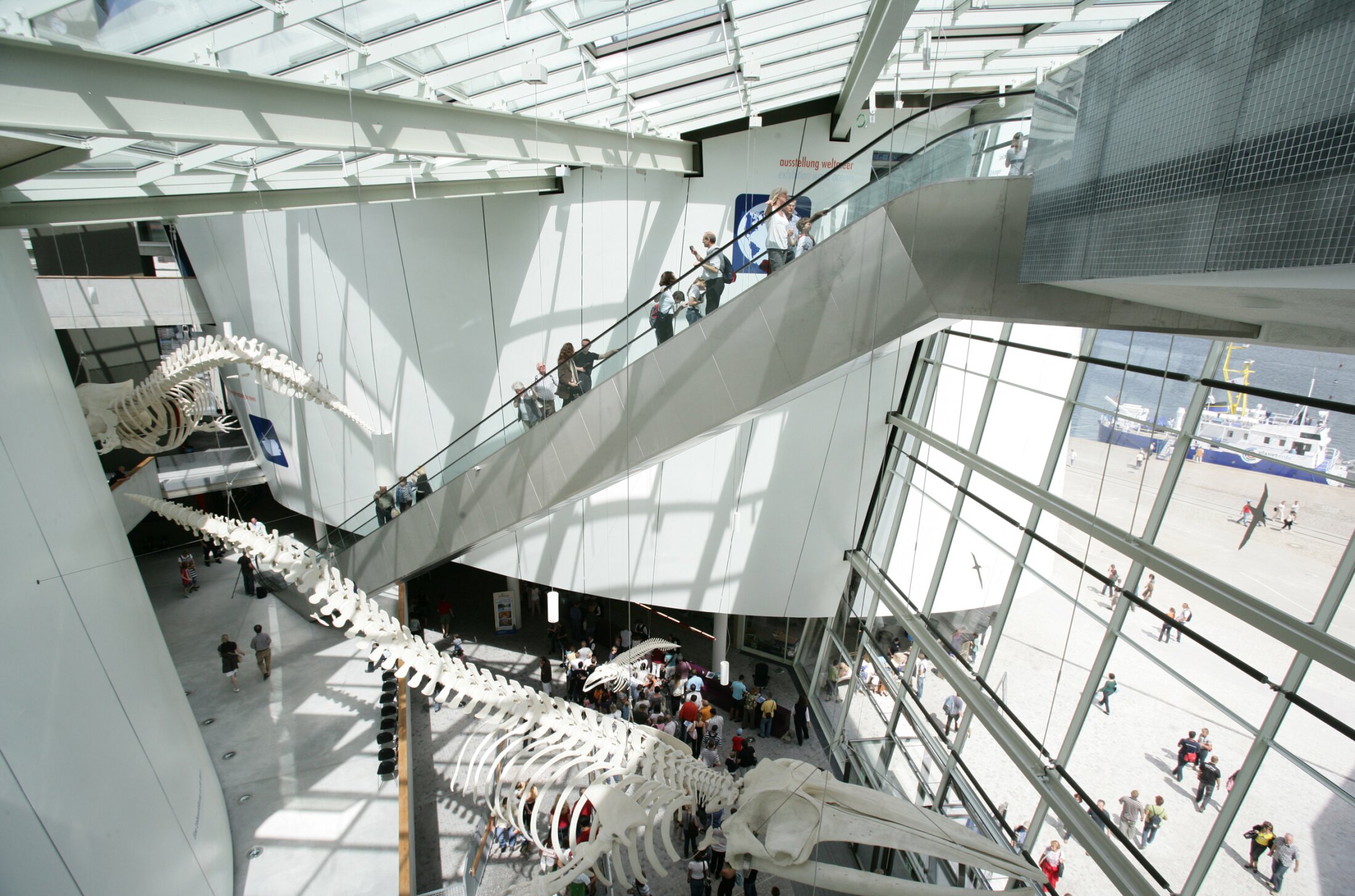 Project by Behnisch Architekturbuero, Ozeanum. Museum atrium with a large whale skeleton, visitors on an escalator and a high glass facade overlooking the outdoor plaza.