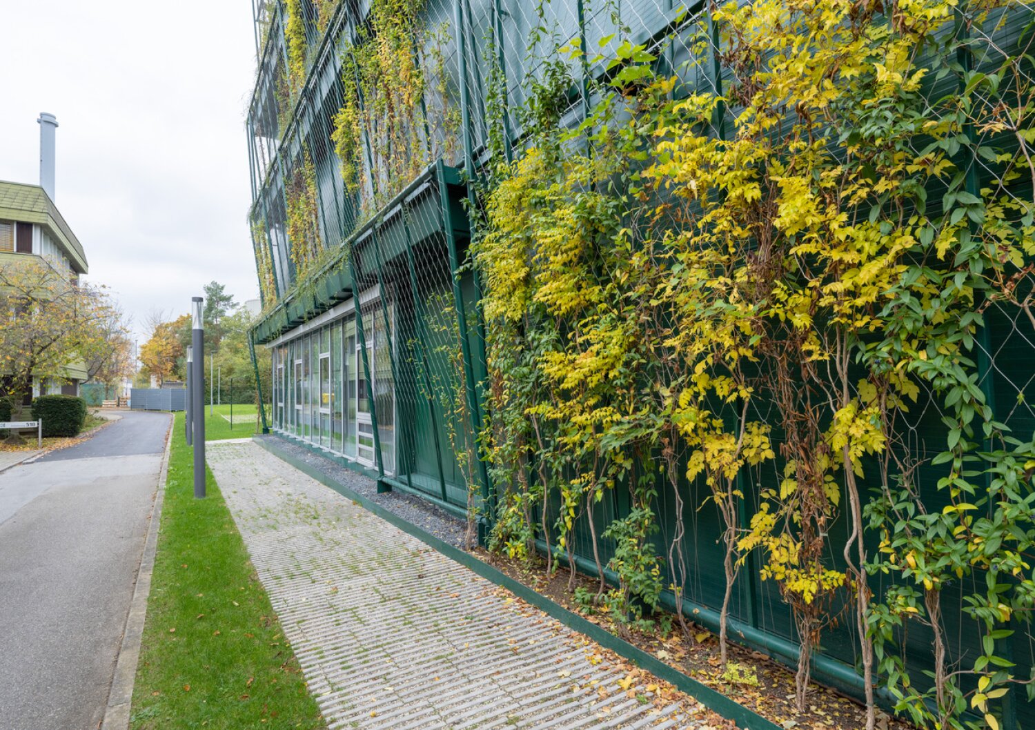 Project by Behnisch Architekturbuero, Dieter Morszeck Biorepository. Green building facade with metal mesh and climbing plants, windows below, and a walkway and street running alongside.