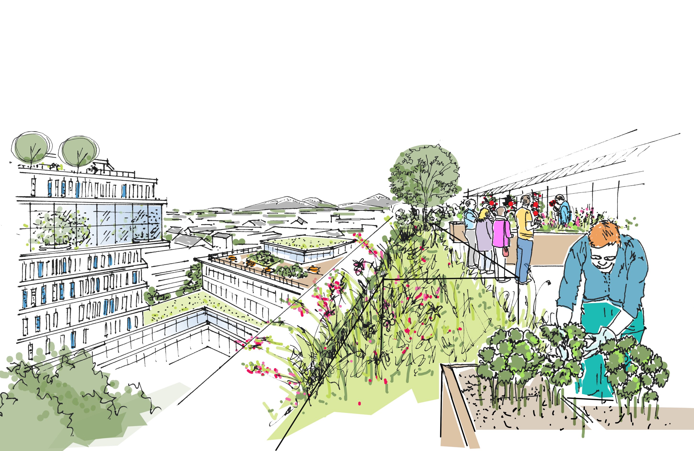 Project by Behnisch Architekturbuero, Campus Giesing. Illustration of a rooftop garden with planting beds, people gardening and socializing, overlooking surrounding buildings and cityscape.