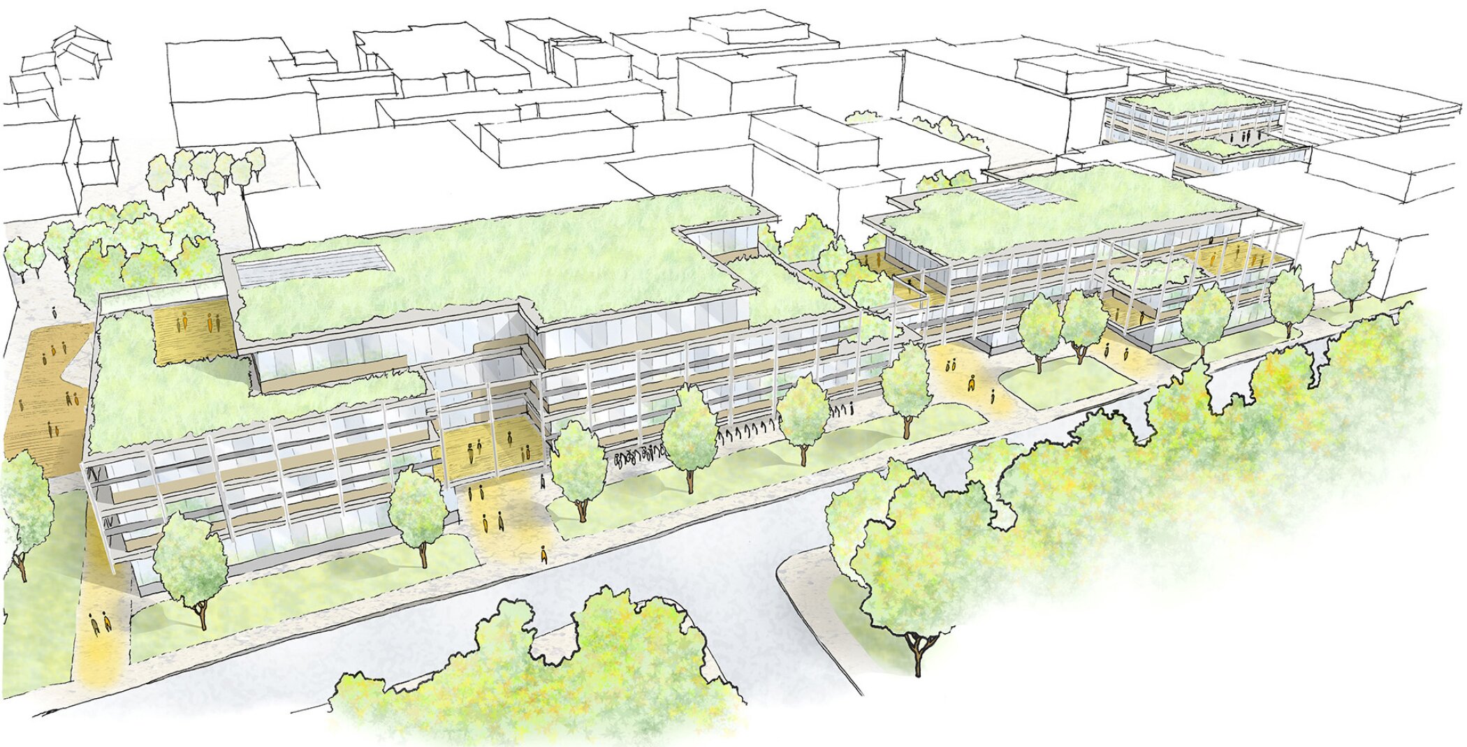 Project by Behnisch Architekturbuero, Steinfurt Campus/ Reconstructions of Buildings C+Q and New Parking Structure/ FH M&uuml;nster (University of Applied Sciences). Illustration of a large school complex with green roofs, courtyards, and tree-lined streets, shown in an aerial perspective within an urban block.