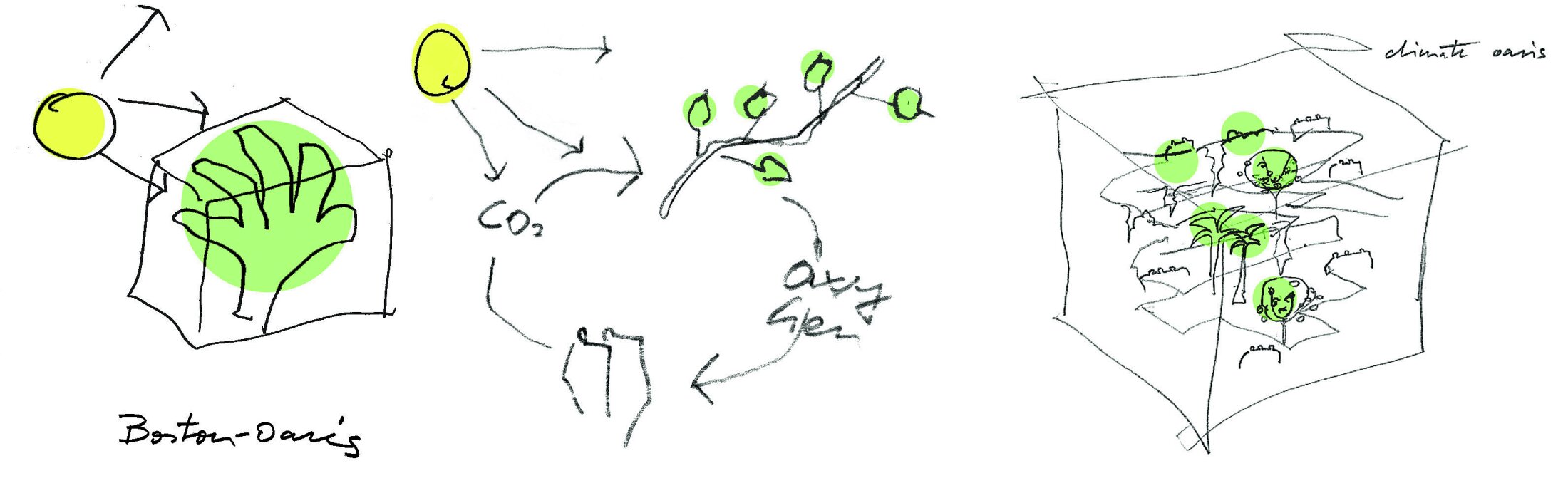 Project by Behnisch Architekturbuero, Genzyme Center. Hand-drawn diagram showing trees, sun, the CO2 cycle and the concept of a "climate oasis" with plants within the building structure.
