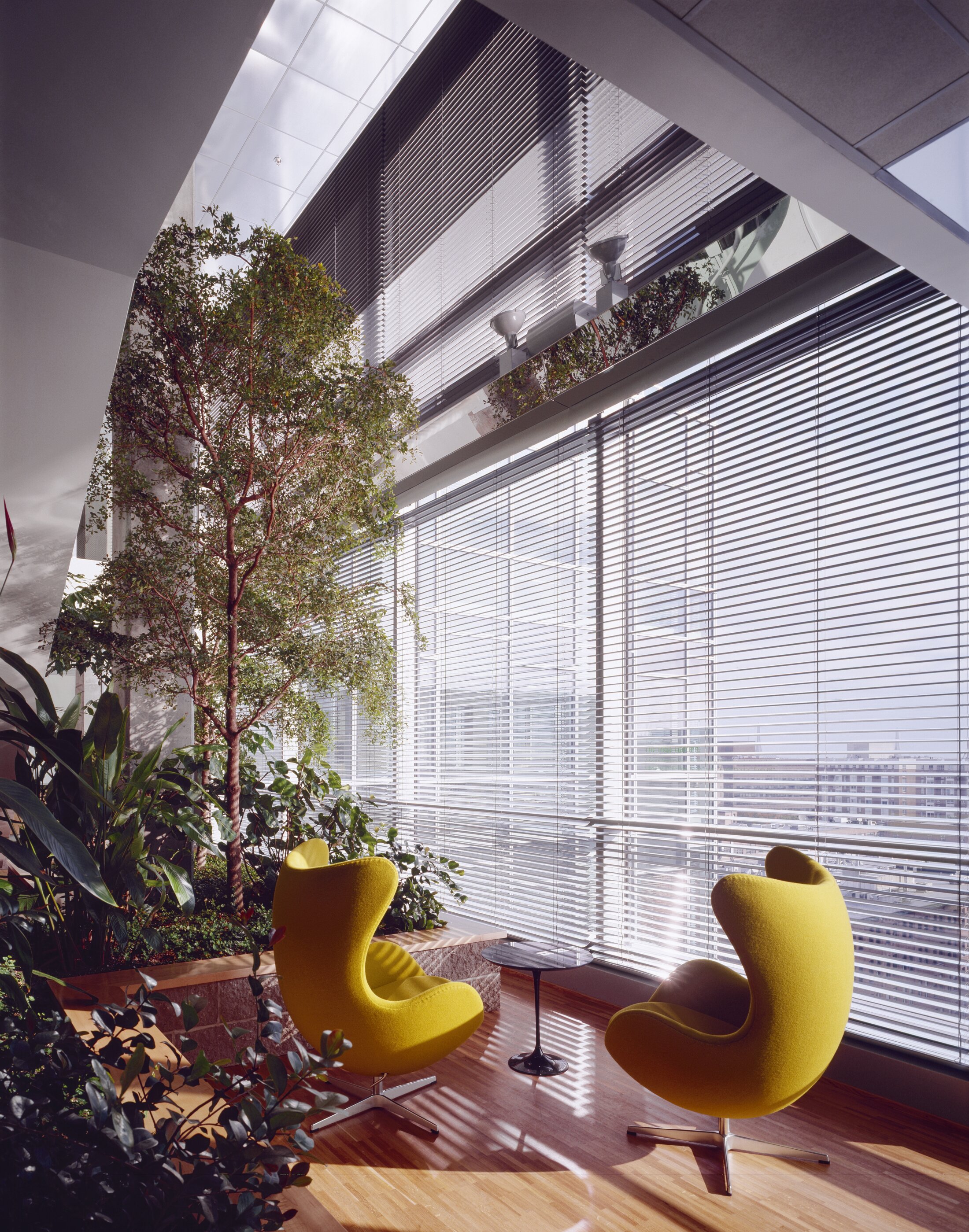 Project by Behnisch Architekturbuero, Genzyme Center. Indoor seating area with two yellow lounge chairs and a small table beside large windows with blinds, surrounded by plants and a tall indoor tree.