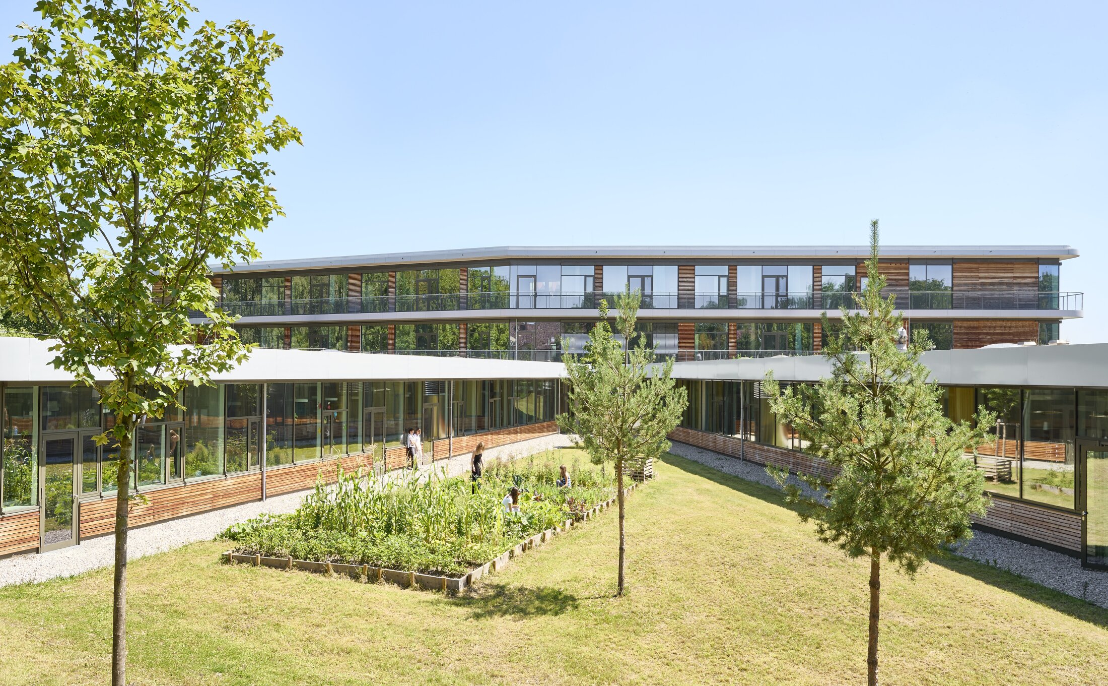 Project by Behnisch Architekturbuero, Anna-Pr&ouml;ll Secondary School and Sports Hall. The School building surrounding a courtyard garden, with trees and students working in a raised planting bed outdoors.