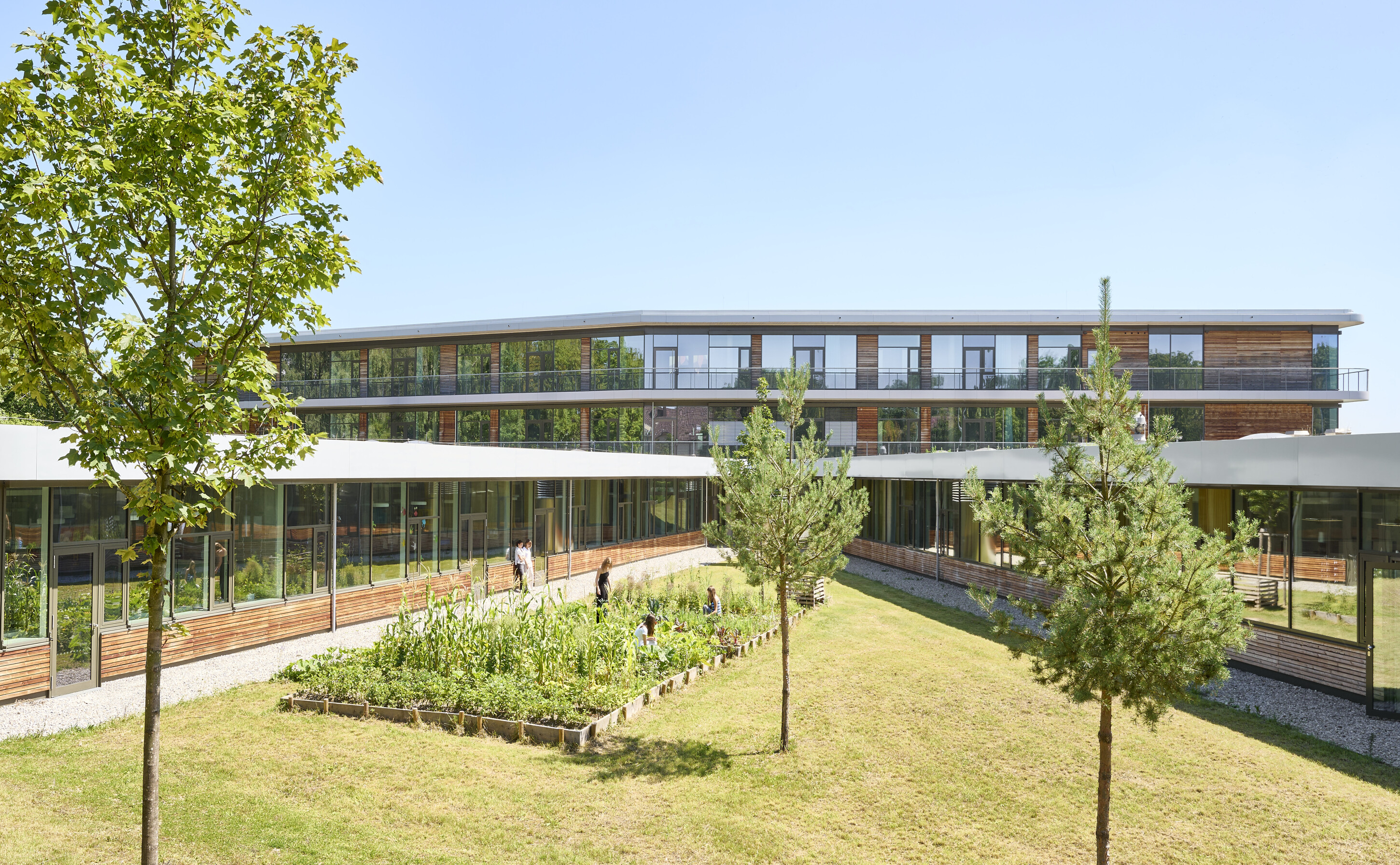 Project by Behnisch Architekturbuero, Anna-Pröll Secondary School and Sports Hall. The School building surrounding a courtyard garden, with trees and students working in a raised planting bed outdoors.