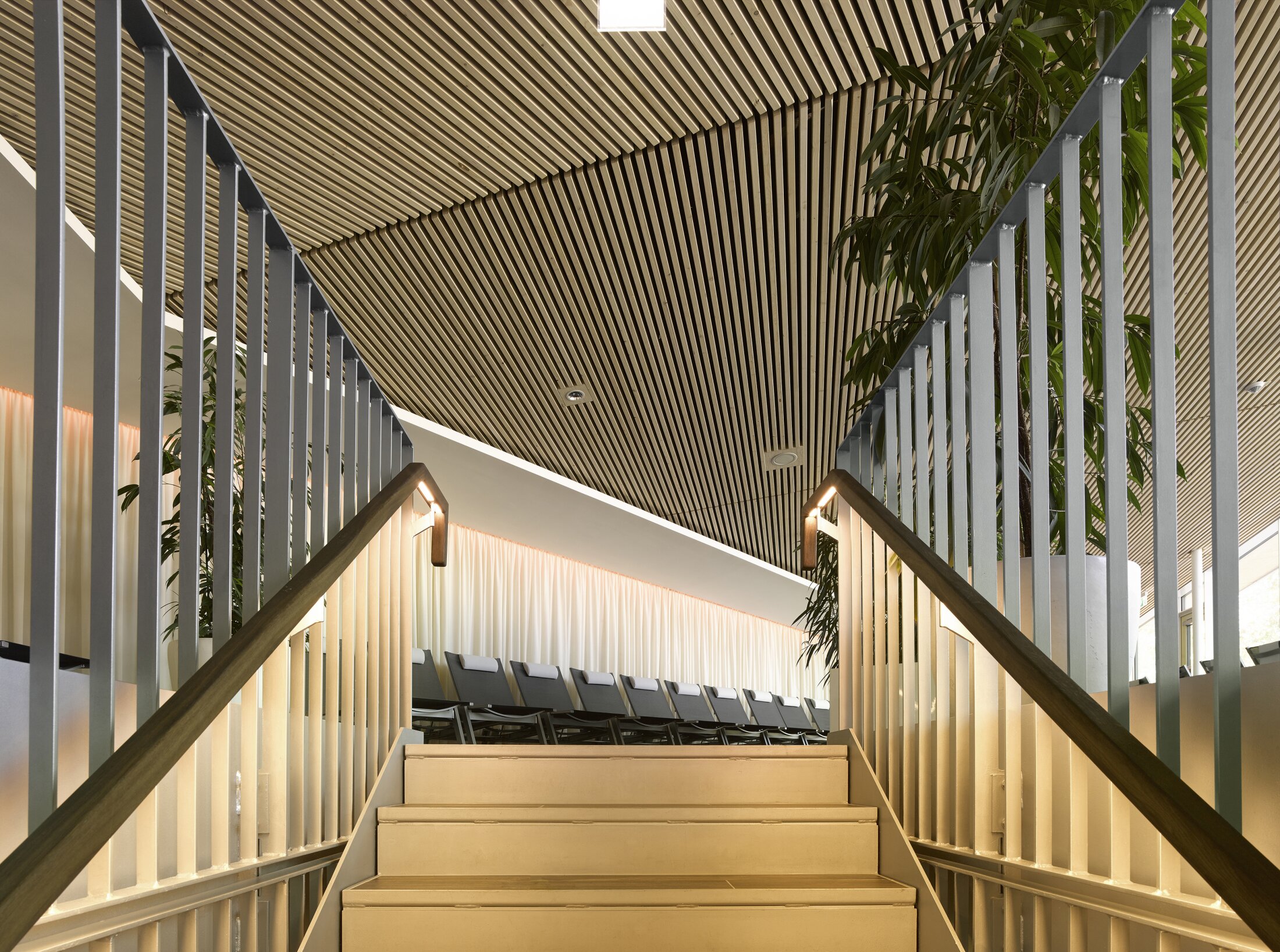 Project by Behnisch Architekturbuero, Thermal Spa Bad Aibling. Staircase with wooden handrails leading to a lounge area with reclining chairs, under a slatted wood ceiling and indoor plants.