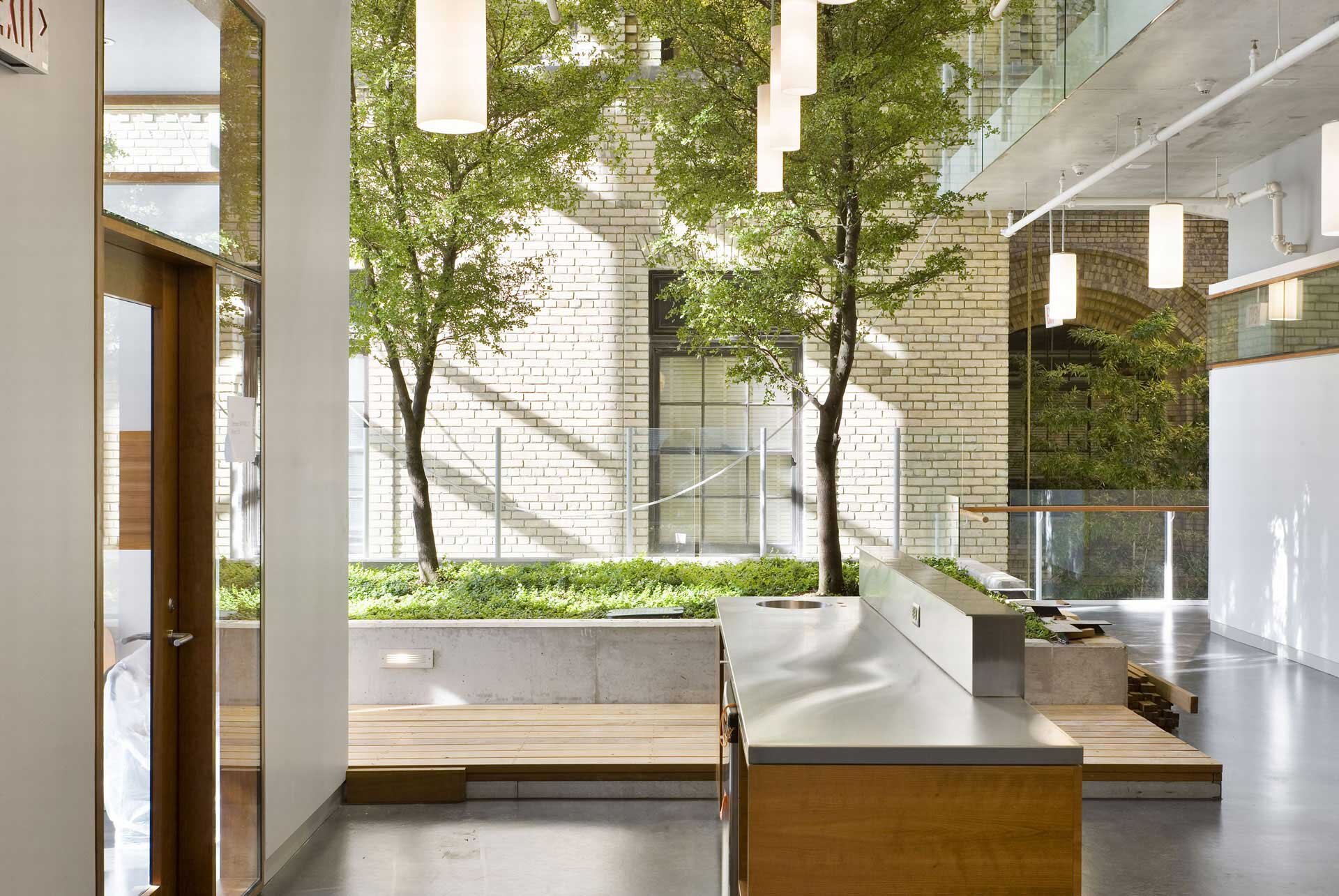 Project by Behnisch Architekturbuero, The Donnelly Centre for Cellular and Biomolecular Research. Indoor courtyard with trees and planted beds beside a brick wall, viewed from a modern interior with a counter and hanging lights.