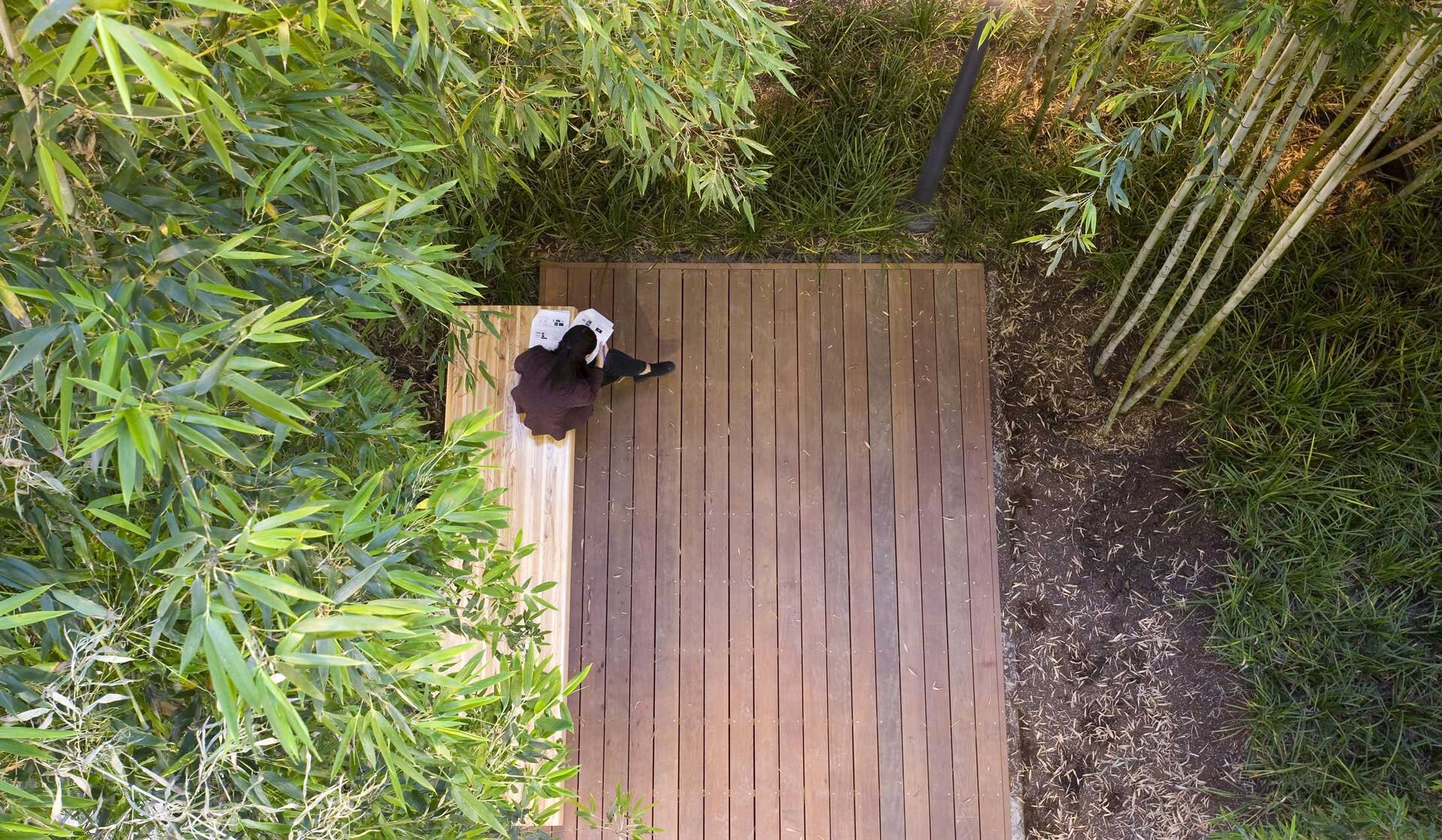 Project by Behnisch Architekturbuero, The Donnelly Centre for Cellular and Biomolecular Research. Top-down view of a person reading on a wooden deck surrounded by dense bamboo and greenery.