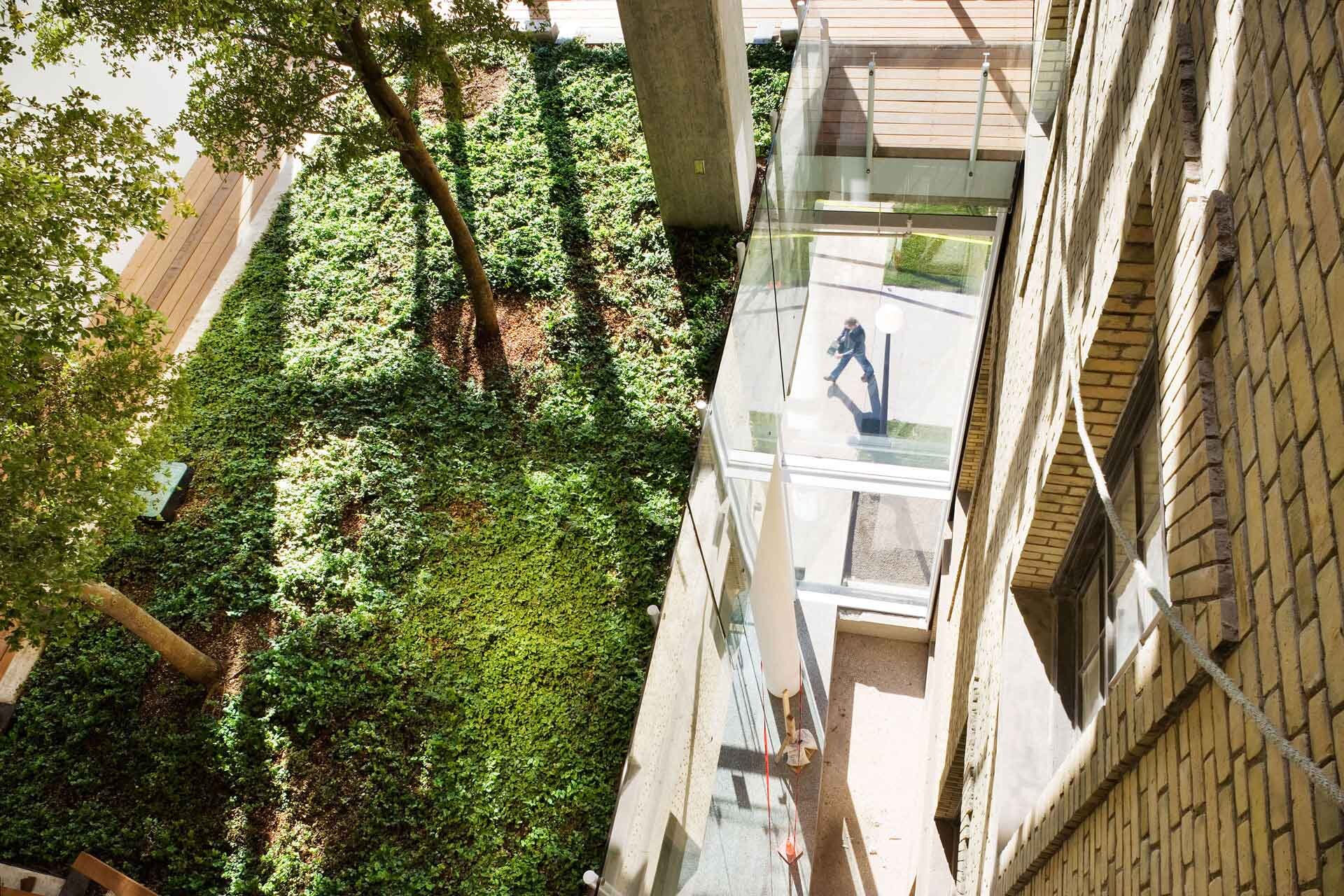 Project by Behnisch Architekturbuero, The Donnelly Centre for Cellular and Biomolecular Research. View from above of a glass roof over the entrance area of ​​the building, under which a person is walking, next to a green courtyard with trees and ground cover.