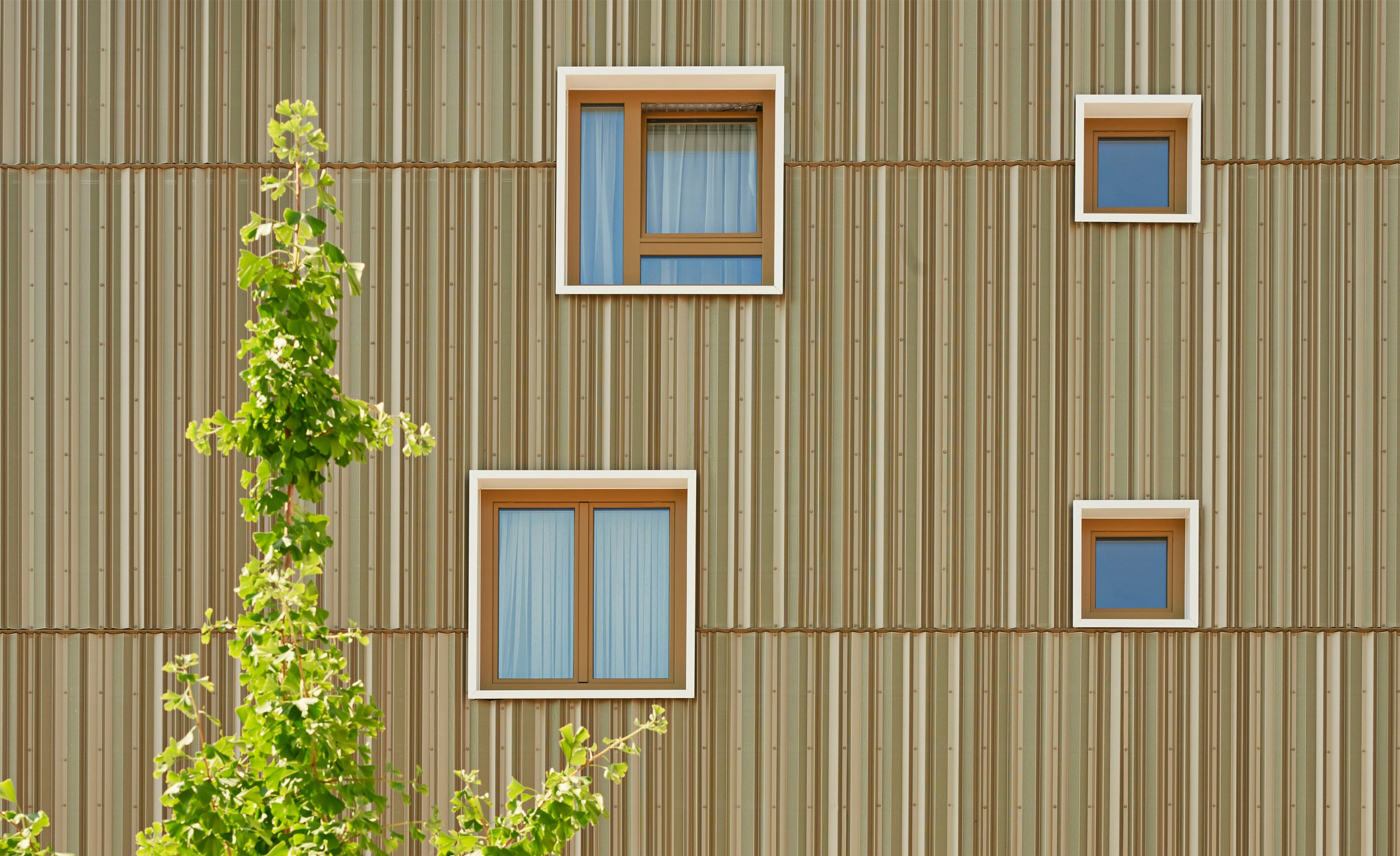 Project by Behnisch Architekturbuero, Mixed-use Building Rathausplatz. Facade with vertical striped cladding and four small square windows, partially obscured by a leafy tree in the foreground.
