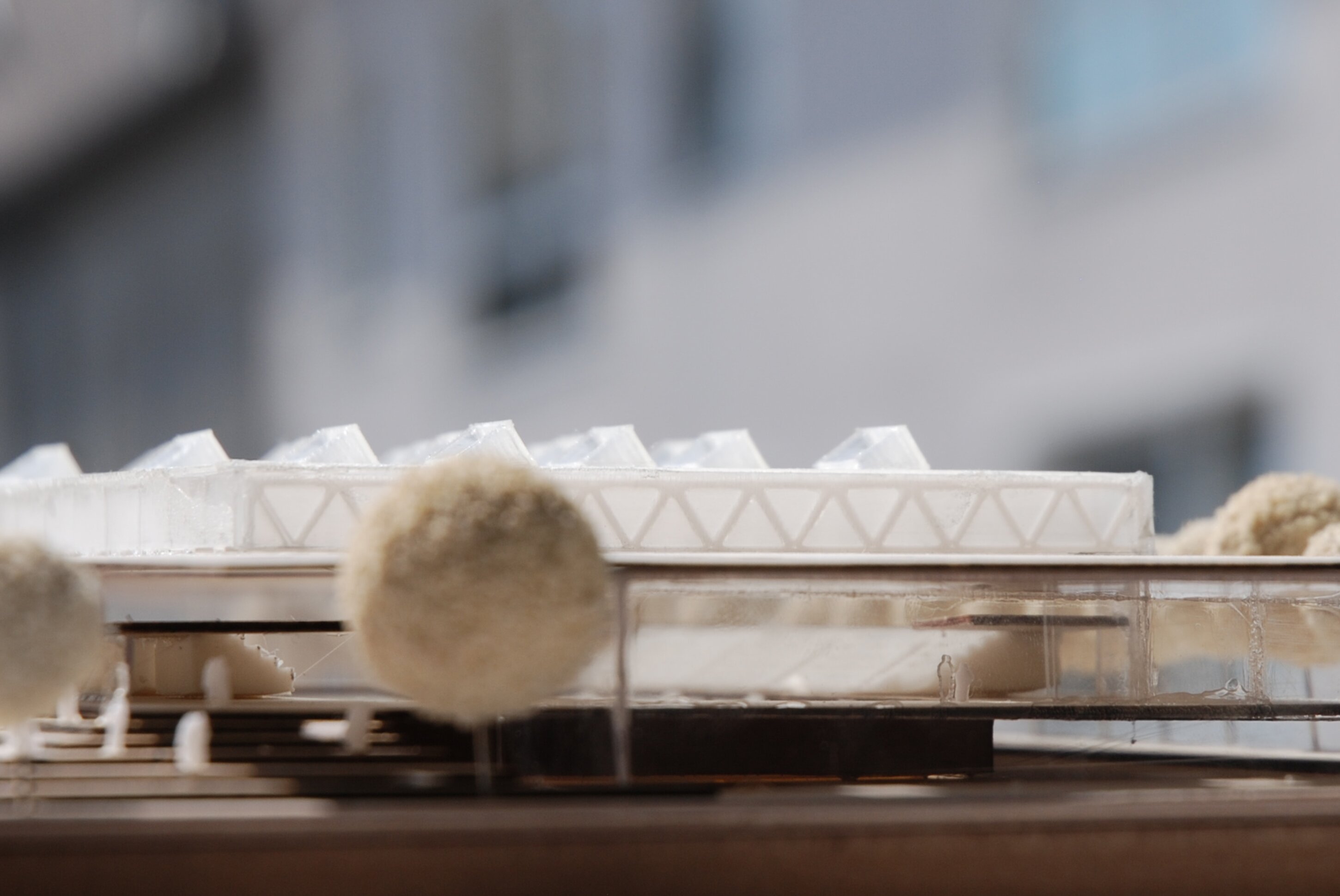 Project by Behnisch Architekturbuero, Center for Sports Science. Close-up of an architectural model showing a low building with triangular roof details and small model trees in the foreground.