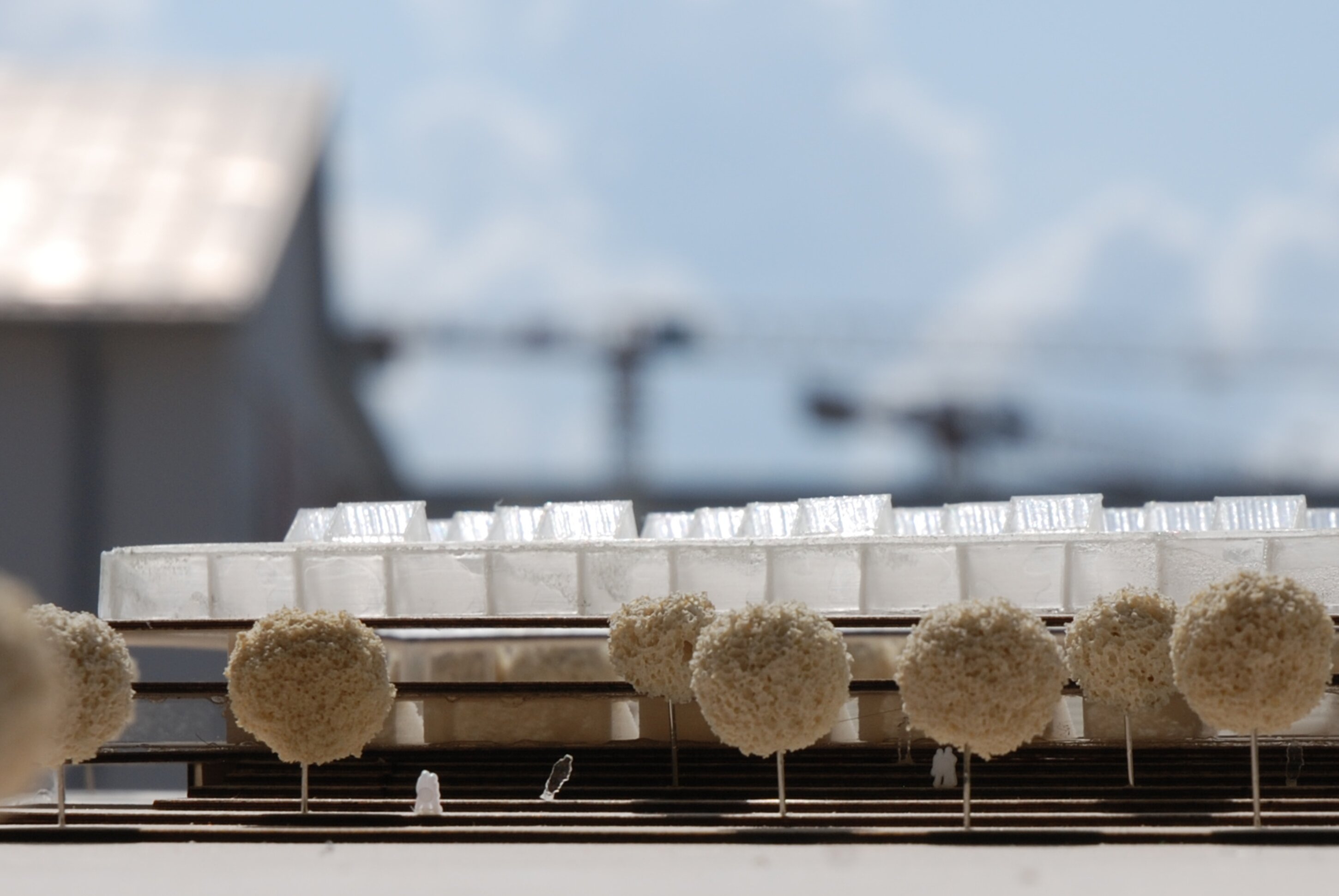 Project by Behnisch Architekturbuero, Center for Sports Science. Architectural model of a long low building with repeated roof forms and a row of small trees and figures along the front edge.