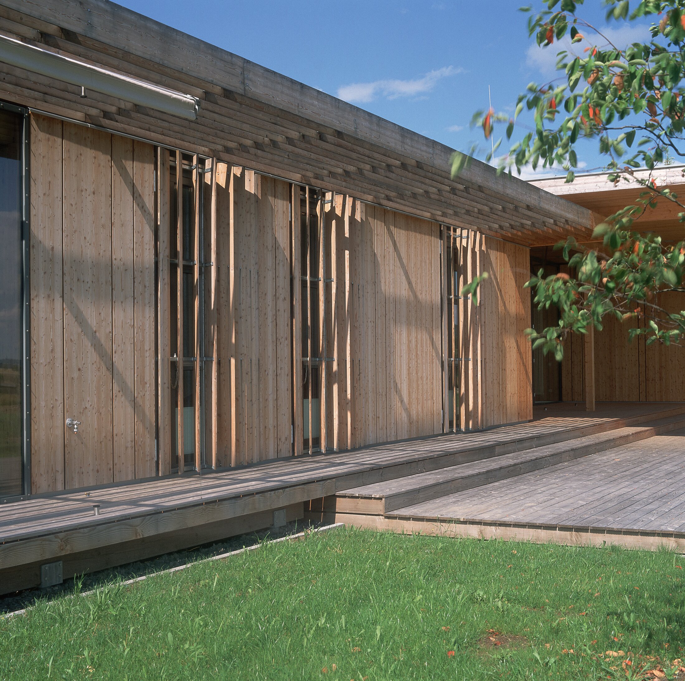 Project by Behnisch Architekturbuero, Hilde Domin School. Wood-clad building facade with vertical slats and narrow windows, fronted by a wooden deck and lawn, with tree branches in foreground.