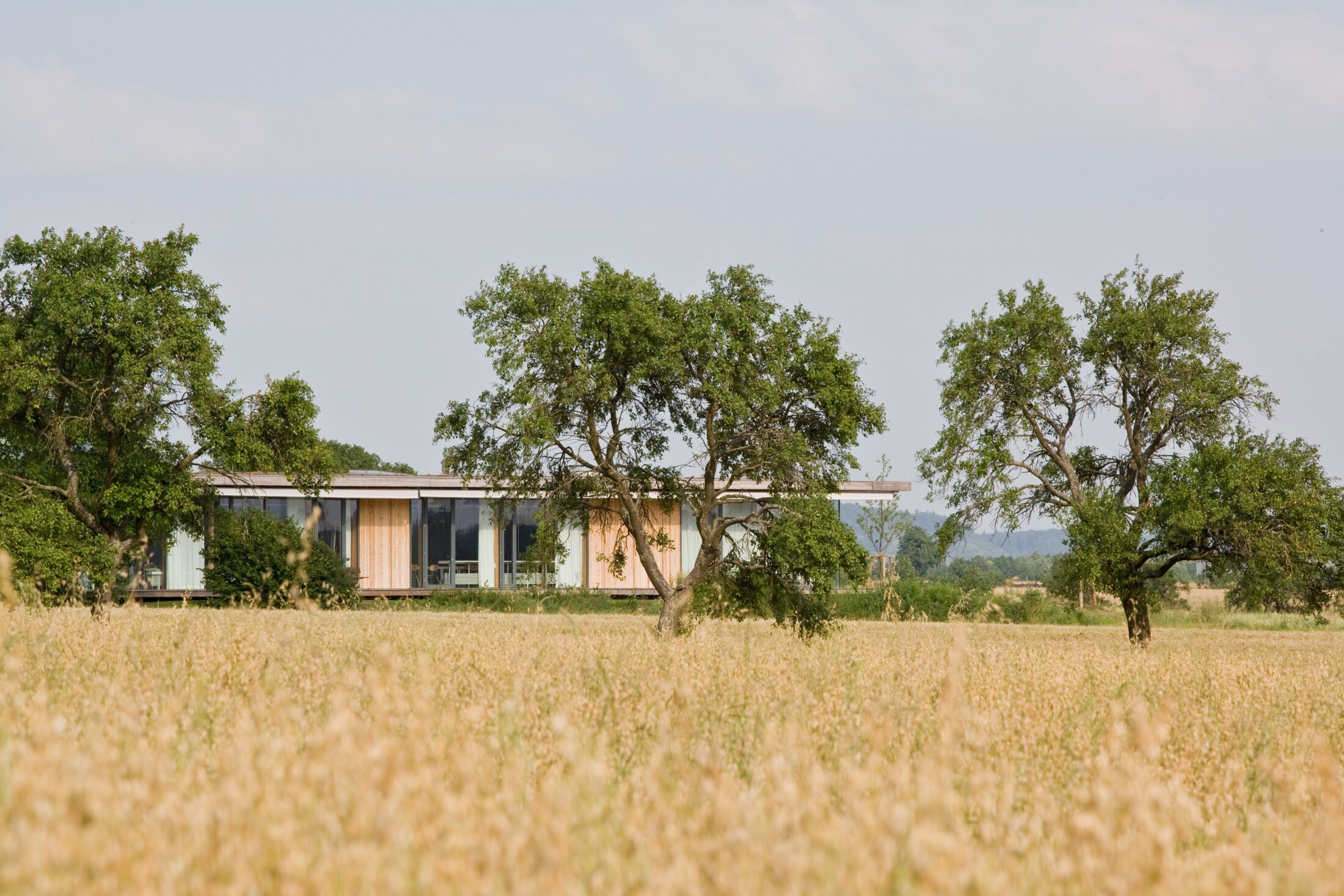 Project by Behnisch Architekturbuero, Hilde Domin School. Single-story modern house with wood and glass facade, set behind trees in a field of tall grass under a cloudy sky.