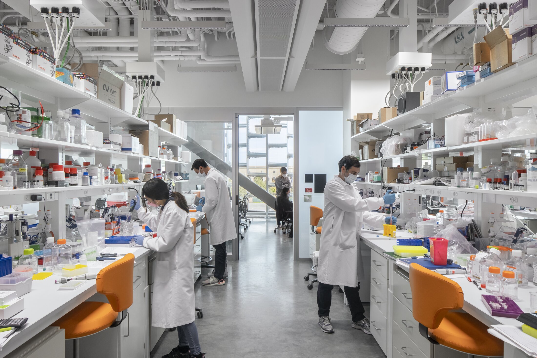 Project by Behnisch Architekturbuero, Harvard University Science and Engineering Complex (SEC). People in lab coats working at benches with pipettes and samples in a bright laboratory lined with shelves and equipment.