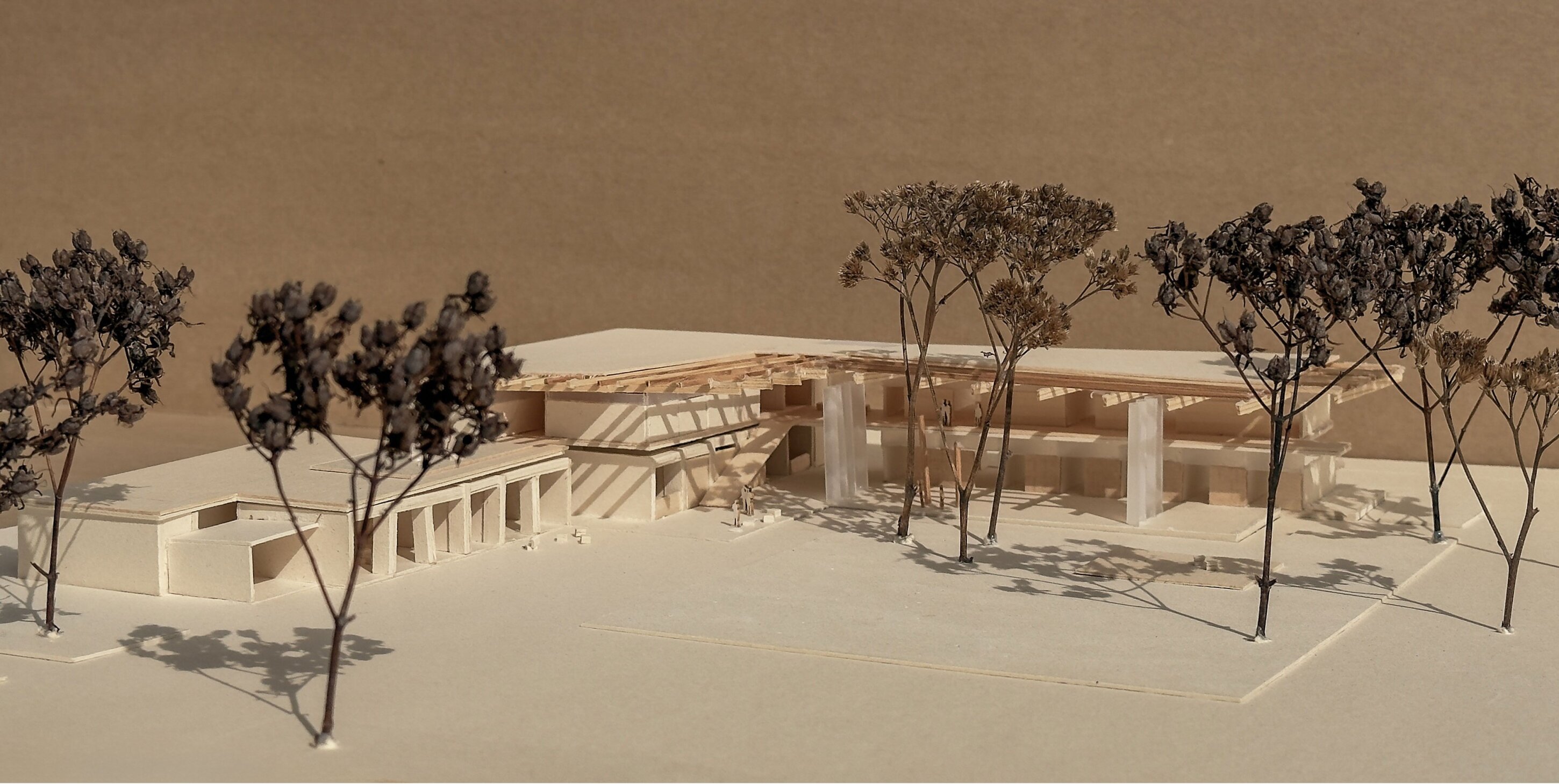 Project by Behnisch Architekturbuero, Campushouse Halle-Neustadt. Architectural model of the building complex with courtyard and trees on a neutral background.