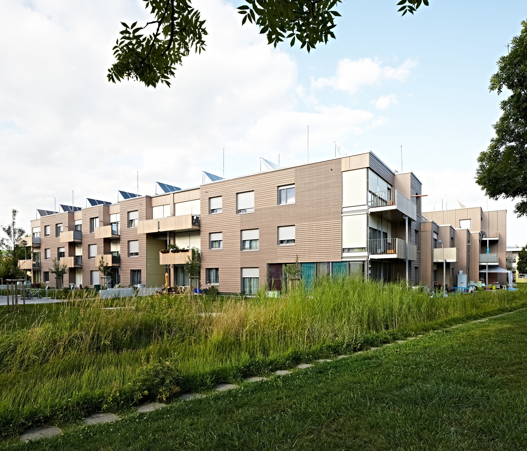Project by Behnisch Architekturbuero, Residential Building Ingolstadt-Hollerstauden. Modern apartment buildings with wood facades and balconies, surrounded by tall grass and greenery, with solar panels on the roof.