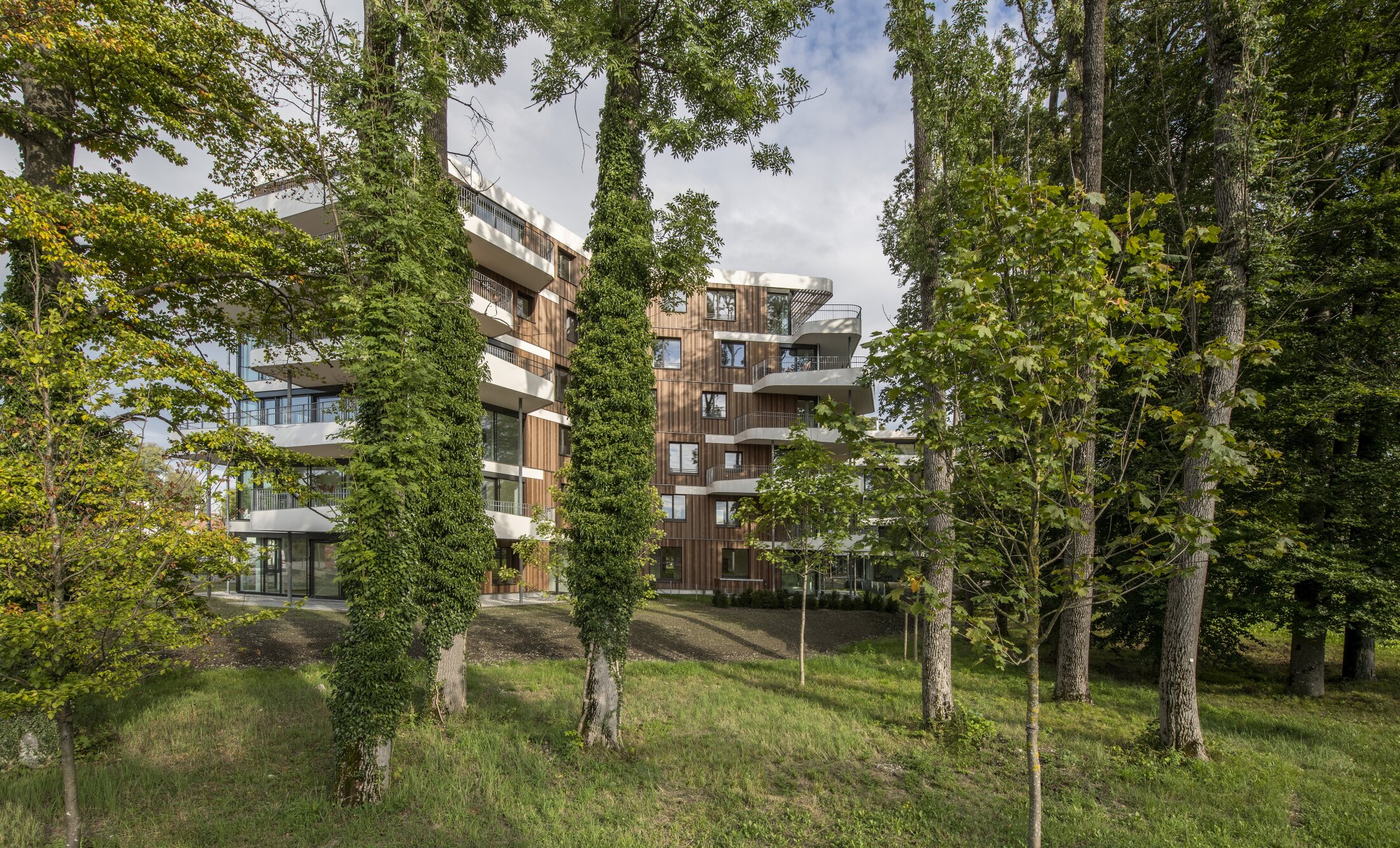 Project by Behnisch Architekturbuero, Y-Houses. A modern, multi-story residential building with a wooden facade, large windows, and curved white balconies. The building is situated amidst tall trees in a green setting.